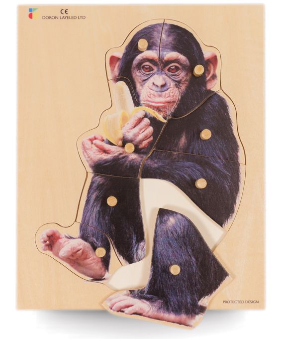 Holz-Puzzle realistisch, Schimpanse 8 Teile